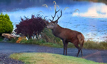 Scorr House self catering accommodation with sea views on the Isle of Skye
