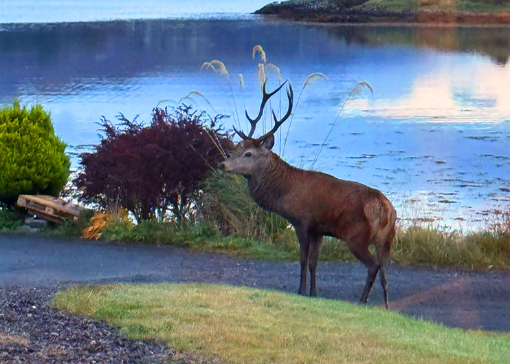 Scorr House self catering accommodation with sea views on the Isle of Skye