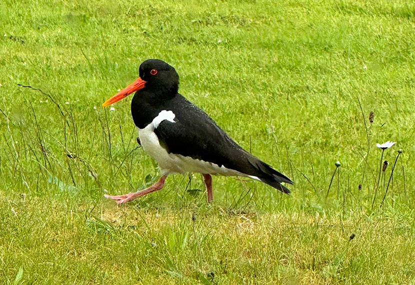 Scorr House self catering accommodation with sea views on the Isle of Skye